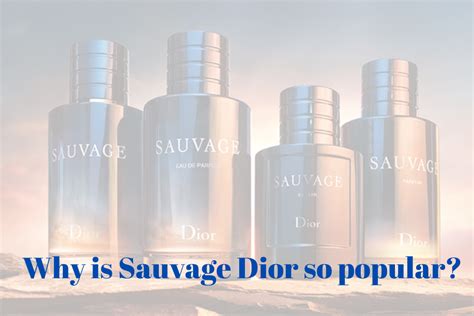 why dior sauvage is so popular